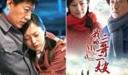 电视剧我二哥和我二嫂,我二哥与我二嫂的婚姻漩涡