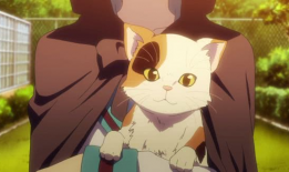 日本动漫猫,探寻日本动漫中的猫咪魅力