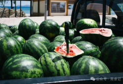 山东吃瓜爆料事件真相,揭秘背后真相与争议